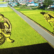 Illustration for article titled Behold These Incredible Artworks Grown from a Rice Field in Japan